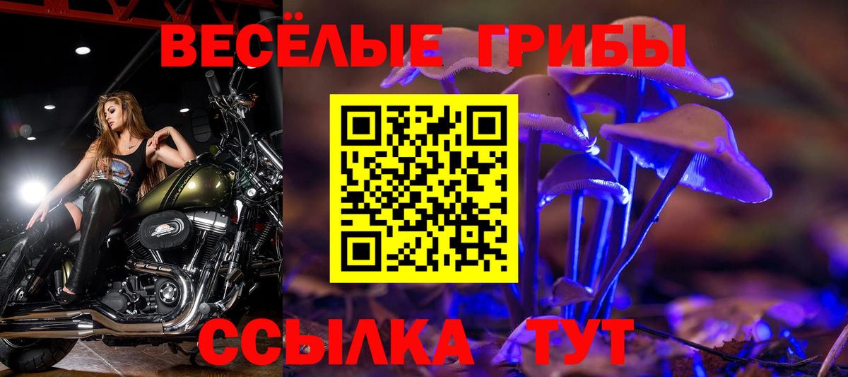 Галлюциногенные грибы Magic Shrooms  Галлюциногенные грибы прущие грибы  Вход с VPN  Канаш 